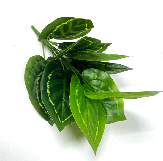 Plant Artificial  Green Diffenbachia, Money Plant/ Plant/ home decor/ decor, garden/ events Afoil0124