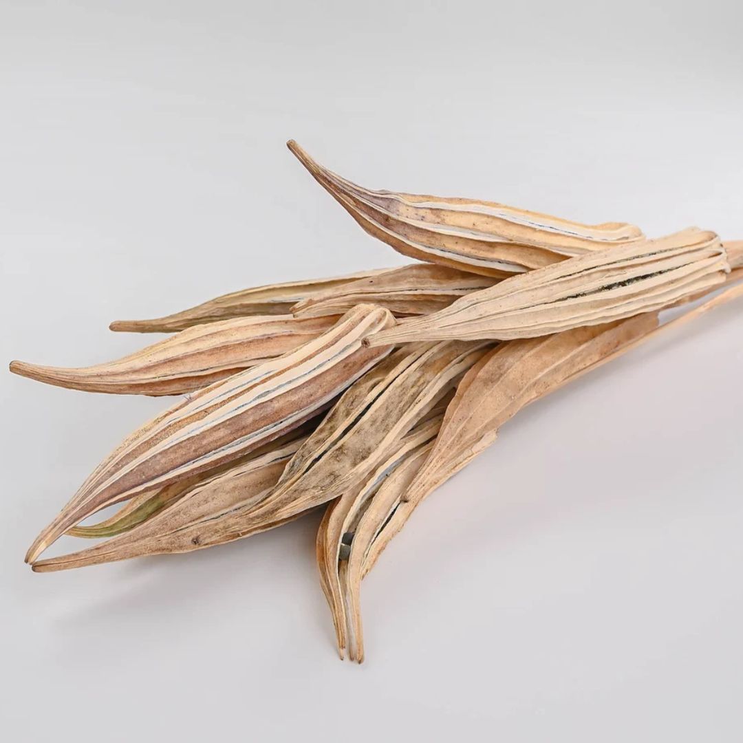 Dried Okra Pods (5 Sticks ) on Stems 60cm: Rustic Decor with a Natural Touch Afoil0130
