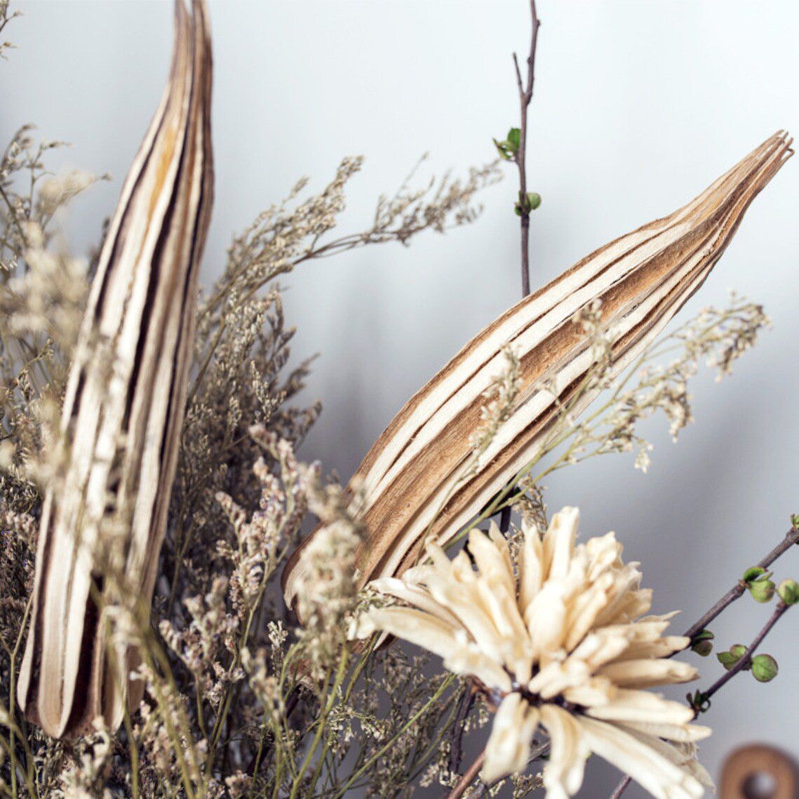Dried Okra Pods (5 Sticks ) on Stems 60cm: Rustic Decor with a Natural Touch Afoil0130