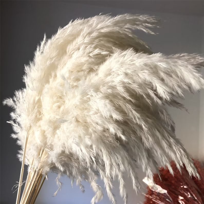 Dried Mini Fluffy Pampas