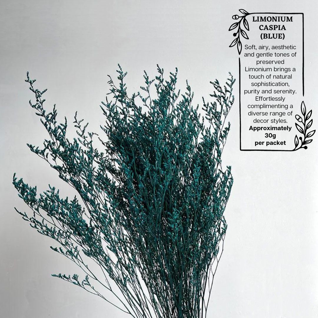 Dried Limonium Flowers (30g) preserved, dried flowers, home deco, events Afoil034
