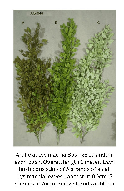 Plant hangingh Lysimachia Bush, home decor, garden, events Afoil048