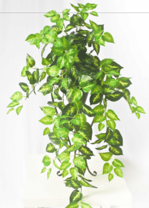 Artificial Hanging Diffenbachia Plants Fake Wall Plants Small Faux Hanging Plants House Decoration Afoil092a