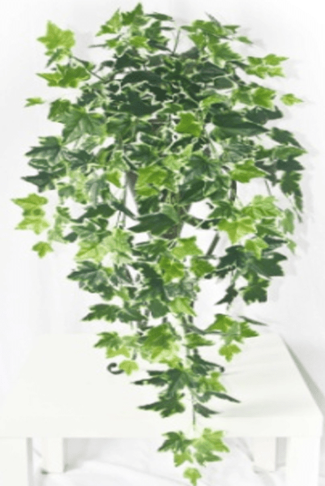 [SG SELLER] Artificial Hanging Plants Fake Wall Plant Potted Plants Small Faux Hanging Plants With Pot House Decoration Afoil095