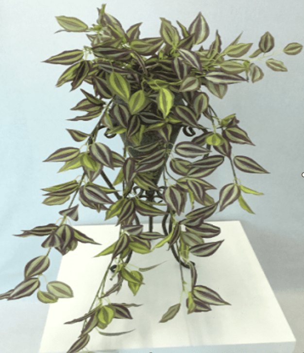 [SG SELLER] Artificial Hanging Plants Fake Wall Plant Potted Plants Small Faux Hanging Plants With Pot House Decoration Afoil100