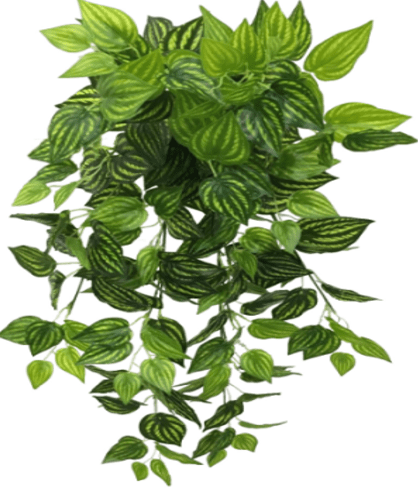 [SG SELLER] Artificial Hanging Plants Fake Wall Plant Potted Plants Small Faux Hanging Plants With Pot House Decoration Afoil103