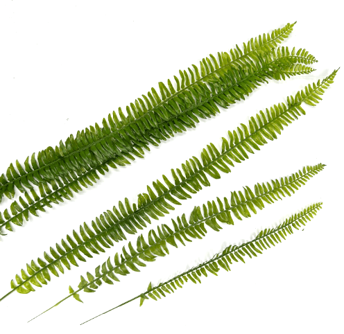 Artificial Fern Leafs