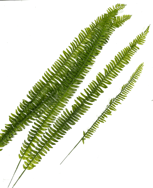 Artificial Fern Leafs, Flower arrangement, Plants, Events, Home Decor Afoil116