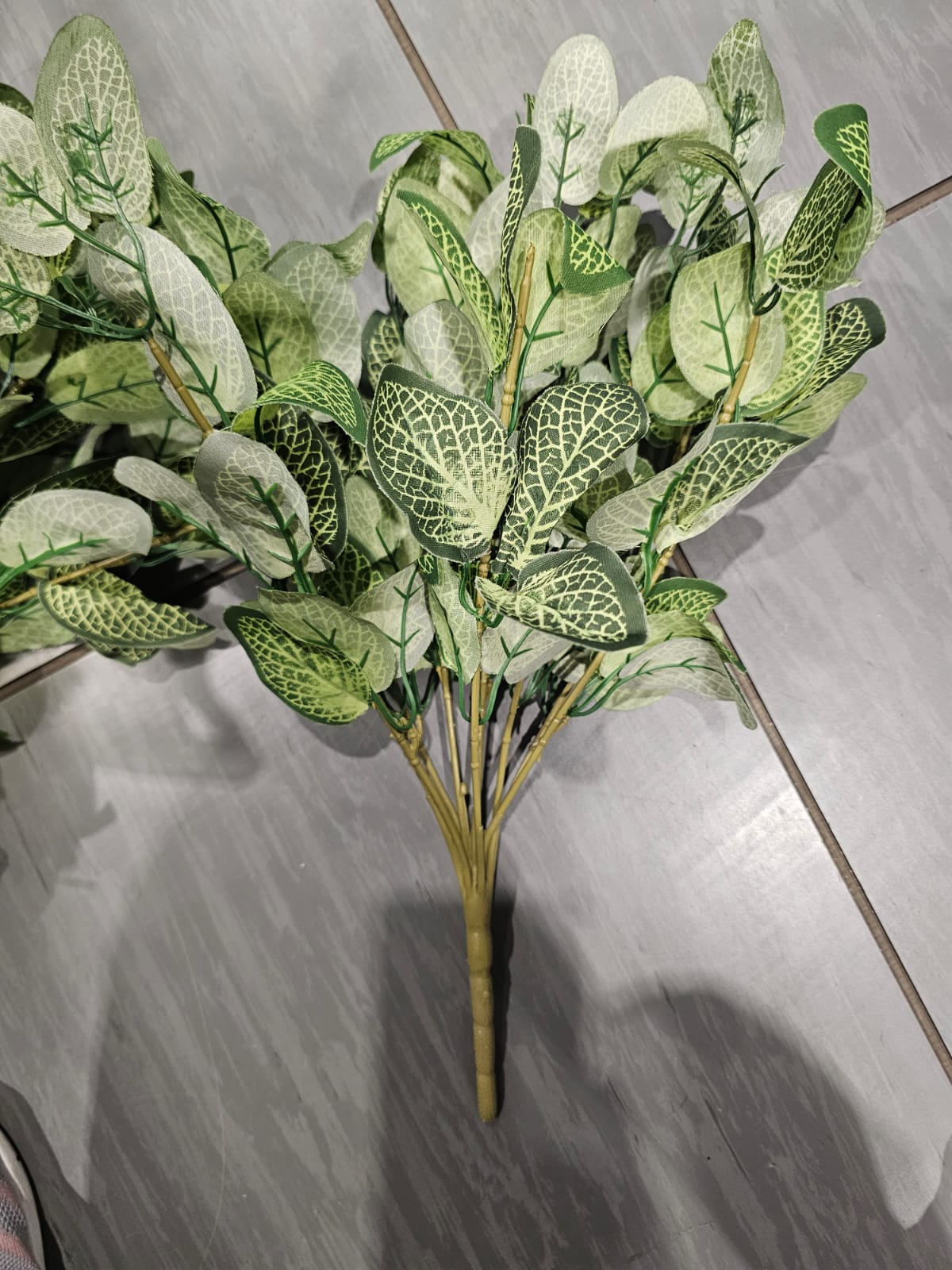 Artificial Fittonia