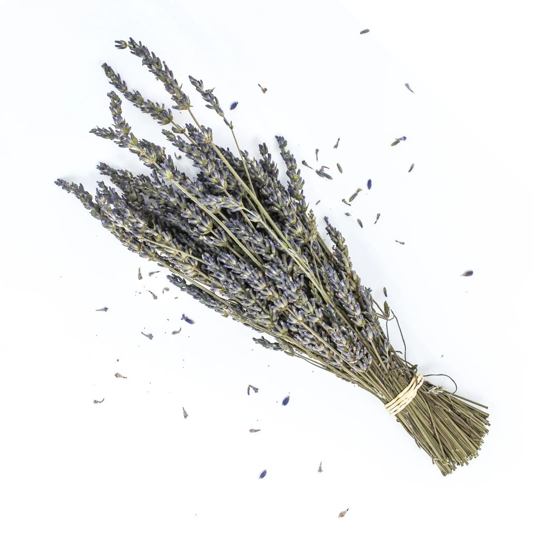 Dried lavender stems from Alton Flowers, natural lavandula flowers for home decor and events, 100g bundle.
