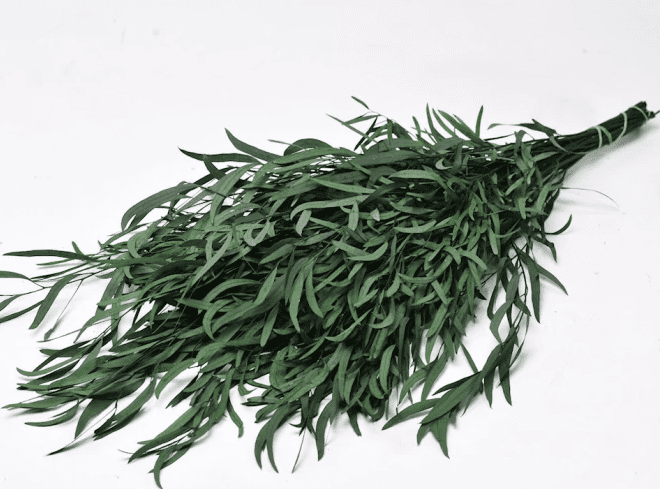 Dry Flower, Dry Leaves, Natural EUCALYPTUS NICOLY 60g/pack Afoil144