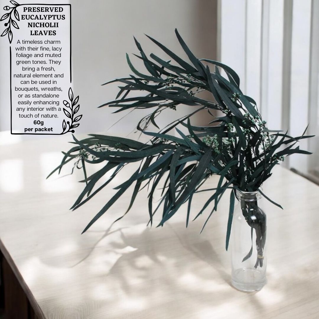 Bouquet of preserved eucalyptus leaves in a clear glass bottle on a light surface with a white background.