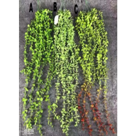 Artificial Succulents plant Dischidia Afoil150