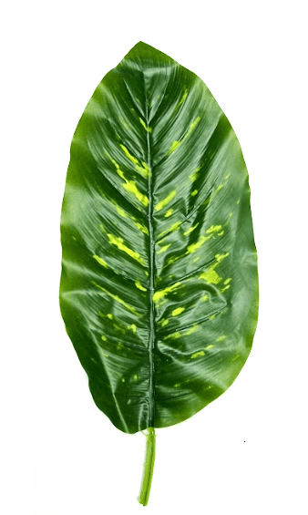 Artificial Leaf Diffenbachia jumbo size, home, garden, events Afoil161