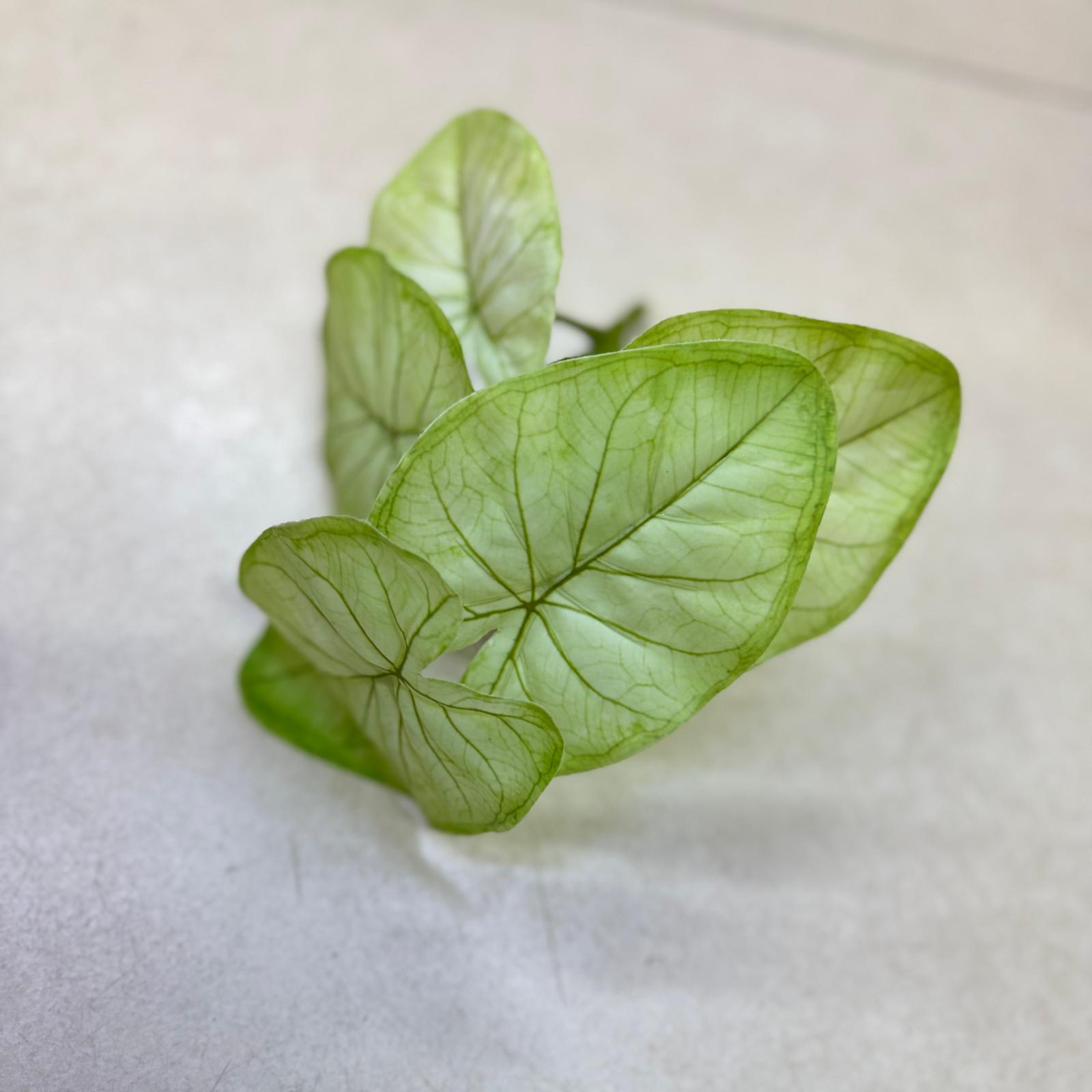 Artificial Plants, Shrubs, Foilages for Home decor, events, offices,  Afoil179