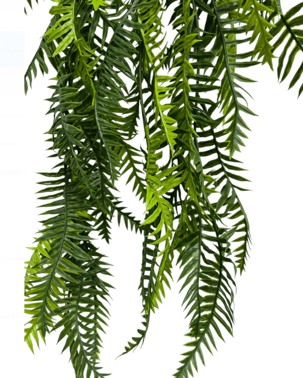 Artificial Plants, Shrubs, Foilages for Home decor, events, offices,  Afoil188