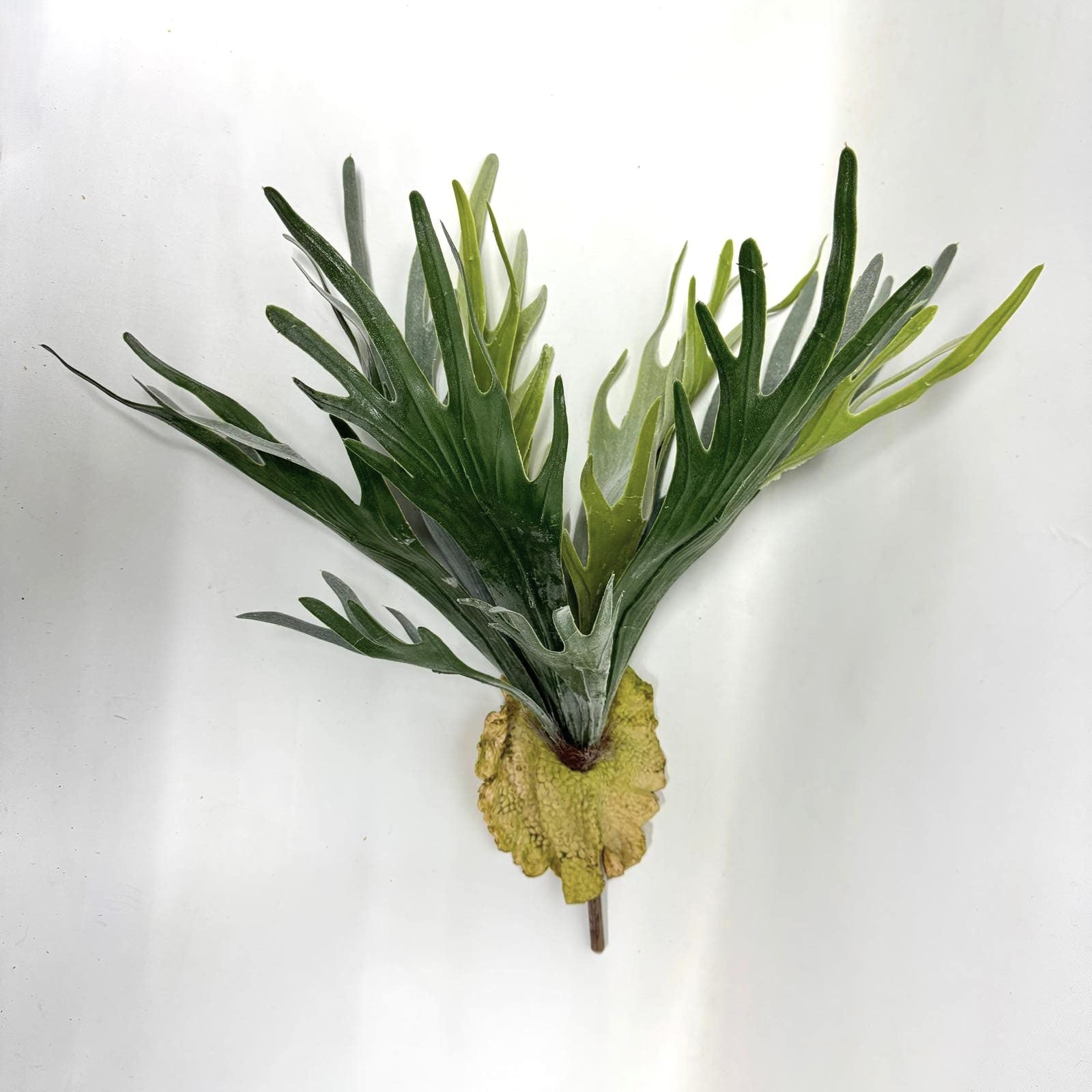 Artificial Plants, Shrubs, Foilages for Home decor, events, offices,  Afoil203