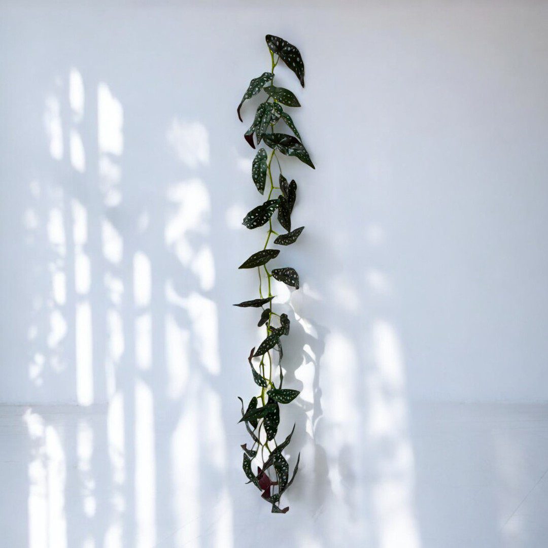 Artificial Polka Dot Begonia Vine – 170cm Faux Garland Plant Afoil216
