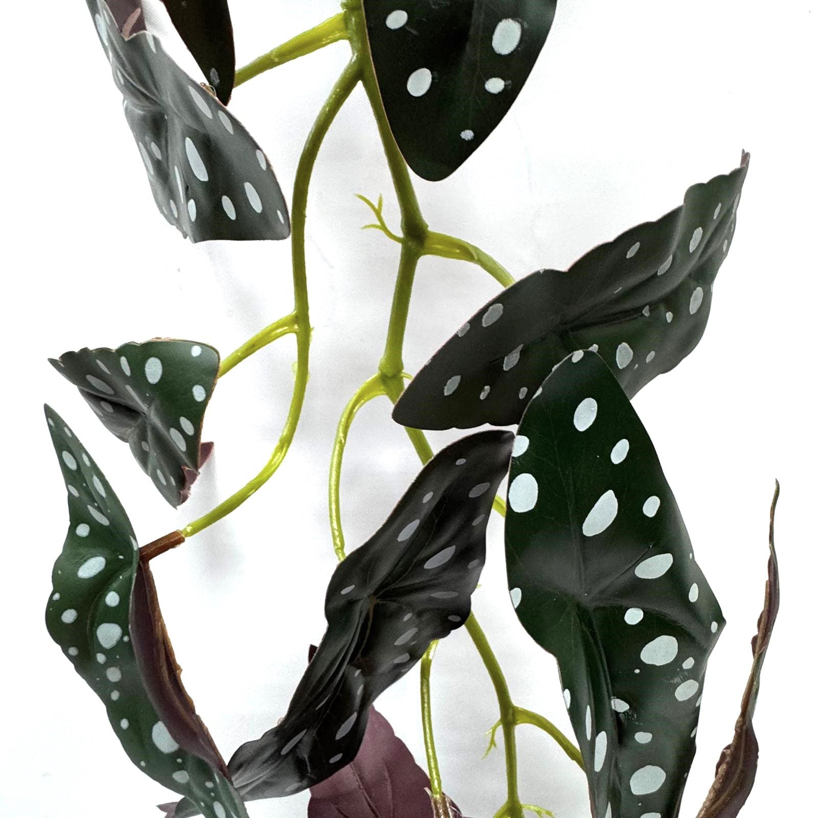 Artificial Polka Dot Begonia Vine – 170cm Faux Garland Plant Afoil216