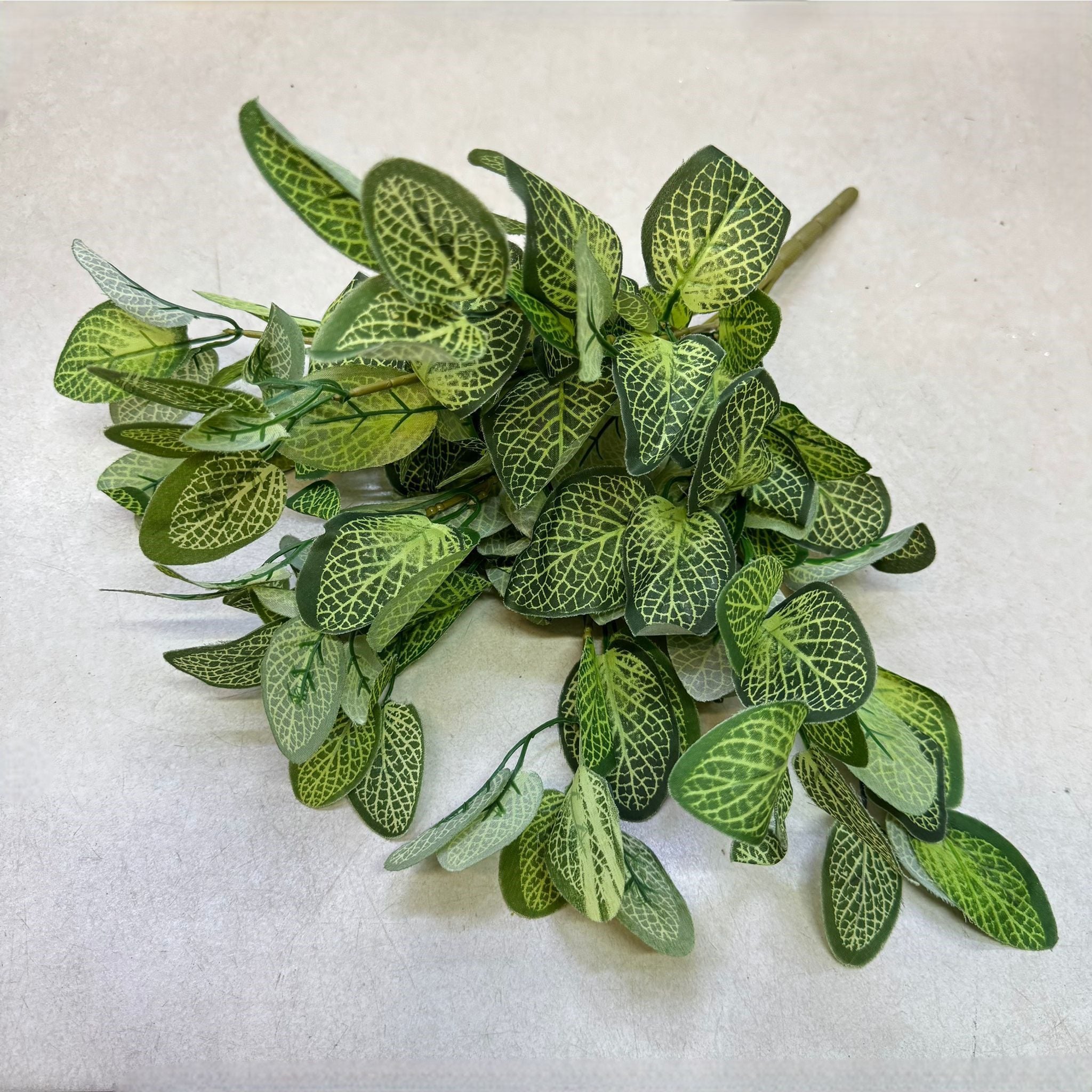 Artificial Fittonia Leaf Bush – 40cm Faux Greenery for Home & Décor Afoil218