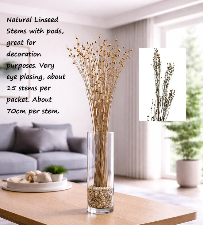 Natural Linseed Grass Dry Leaves | Dry Flowers | Dried Leaves Afoil276-2