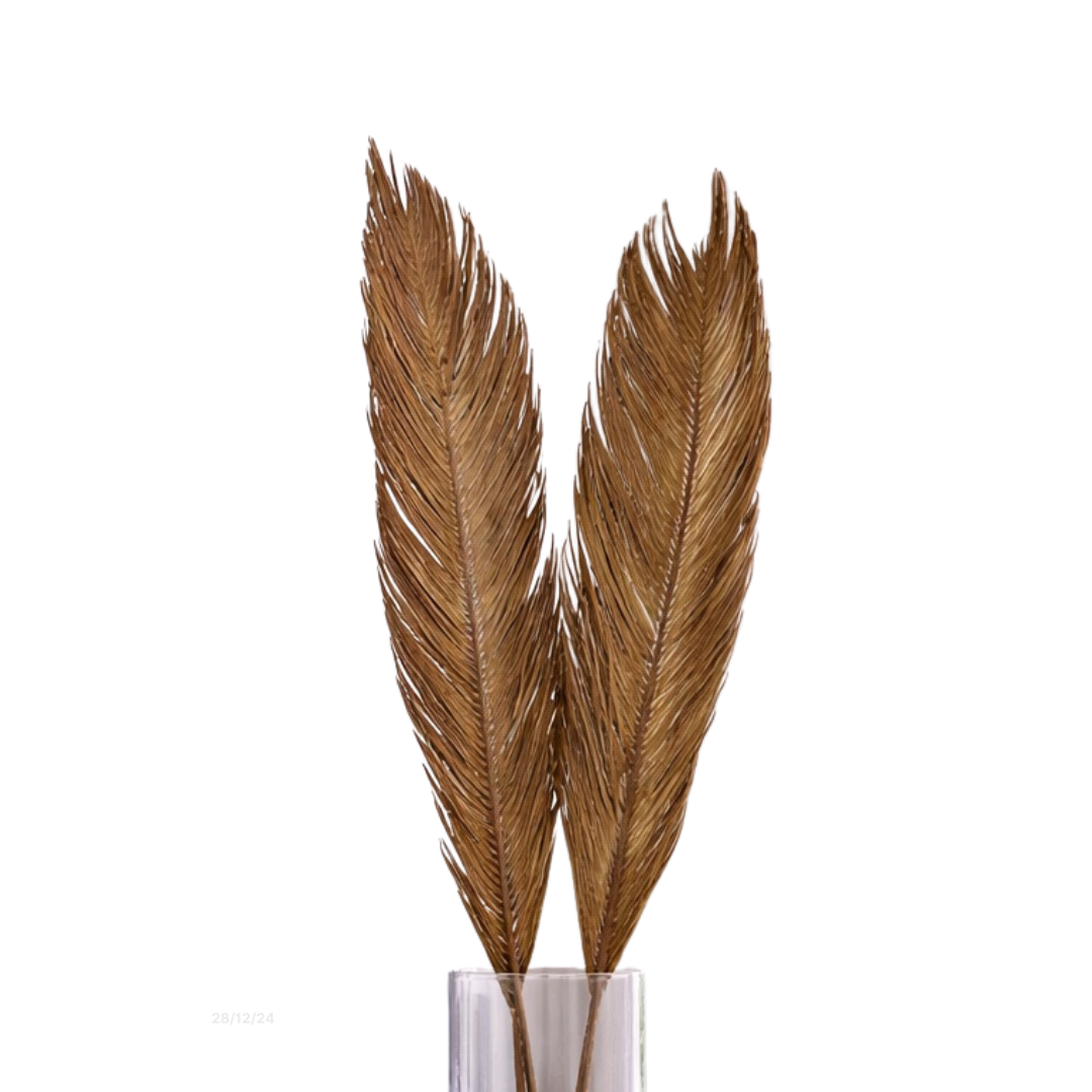 Three natural dried palm leaves from Alton Flowers N Gifts, showcasing their textured, rustic appearance for home decor.