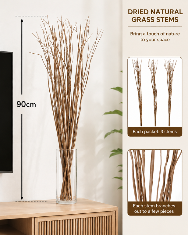 Dried Leaves Stem for Home and Office Decoration