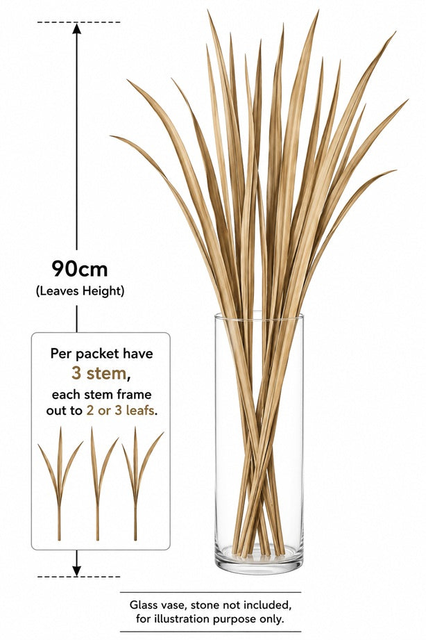 Dried Leaves Stem for Home and Office Decoration