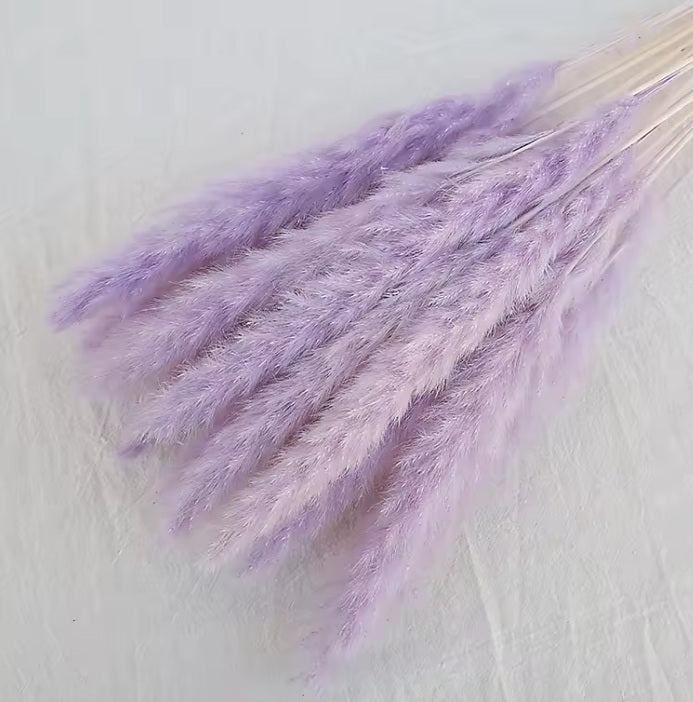 (Mini) 15stalks Naturally Dried Pampas Grass 70cm Home Decoration Flower Arrangement Reed Bouquet Birthday Gift