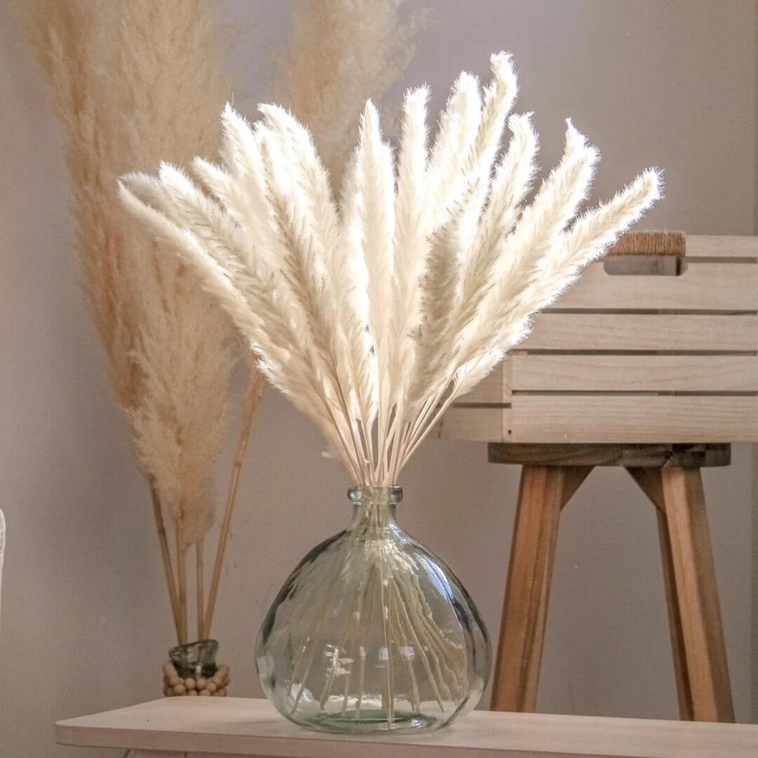(Mini) 15stalks Naturally Dried Pampas Grass 70cm Home Decoration Flower Arrangement Reed Bouquet Birthday Gift
