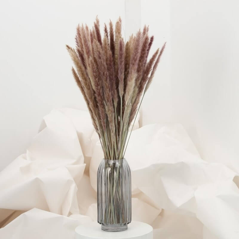 (Mini) 15stalks Naturally Dried Pampas Grass 70cm Home Decoration Flower Arrangement Reed Bouquet Birthday Gift