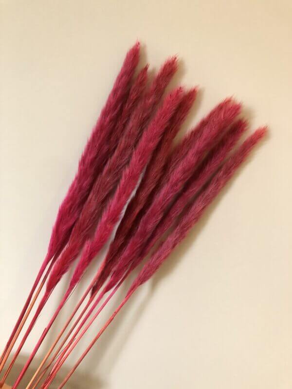 (Mini) 15stalks Naturally Dried Pampas Grass 70cm Home Decoration Flower Arrangement Reed Bouquet Birthday Gift