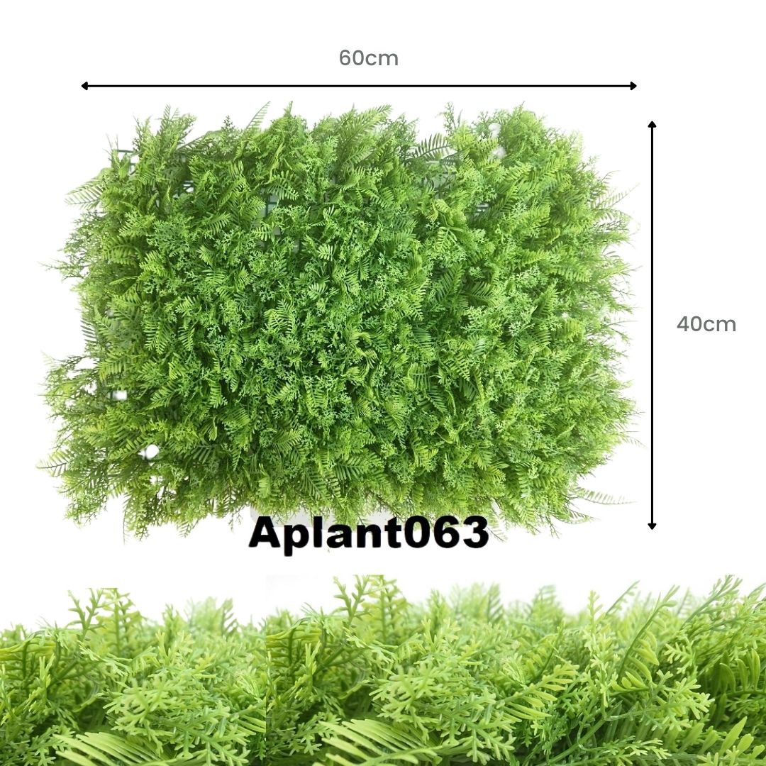 Aplant063 1
