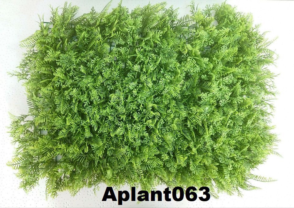 Aplant063a