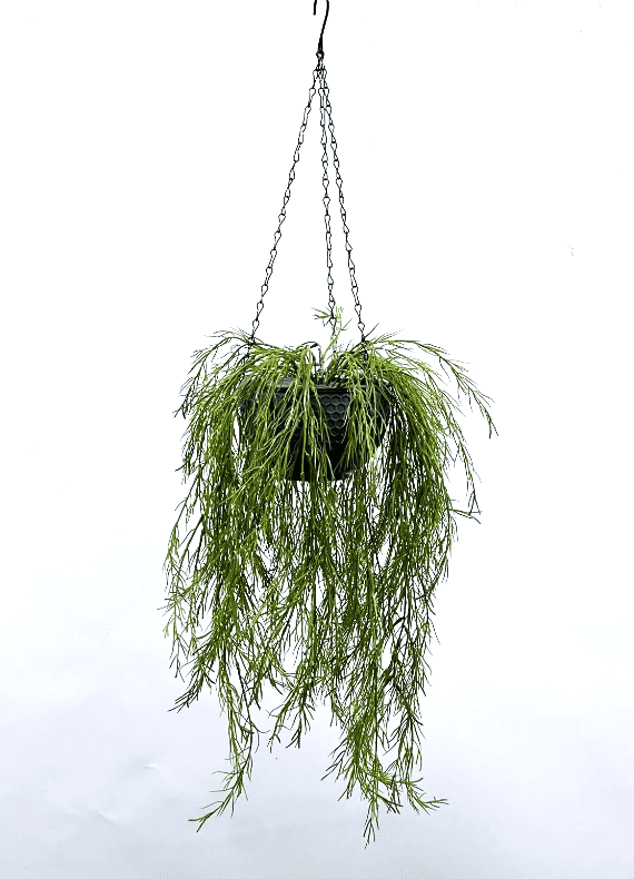 Artificial Air Plant set in double layer hanging pot, home decor, garden, events Aplant1000