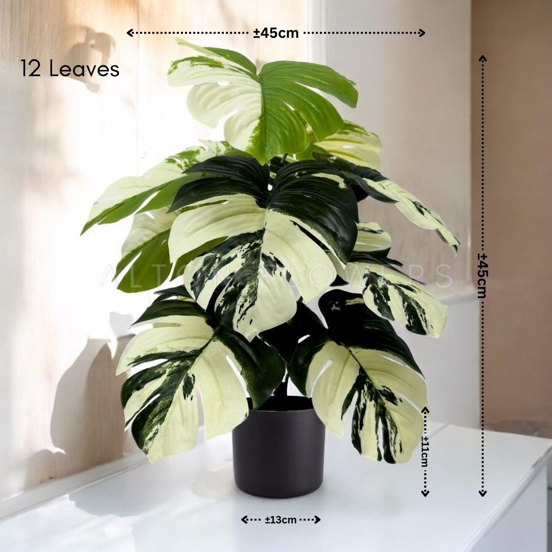 45cm (12 Leaves) Artificial Plant Variegated Monstera Albo with black plastic cemented pot, home decor, garden, events Aplant1002a