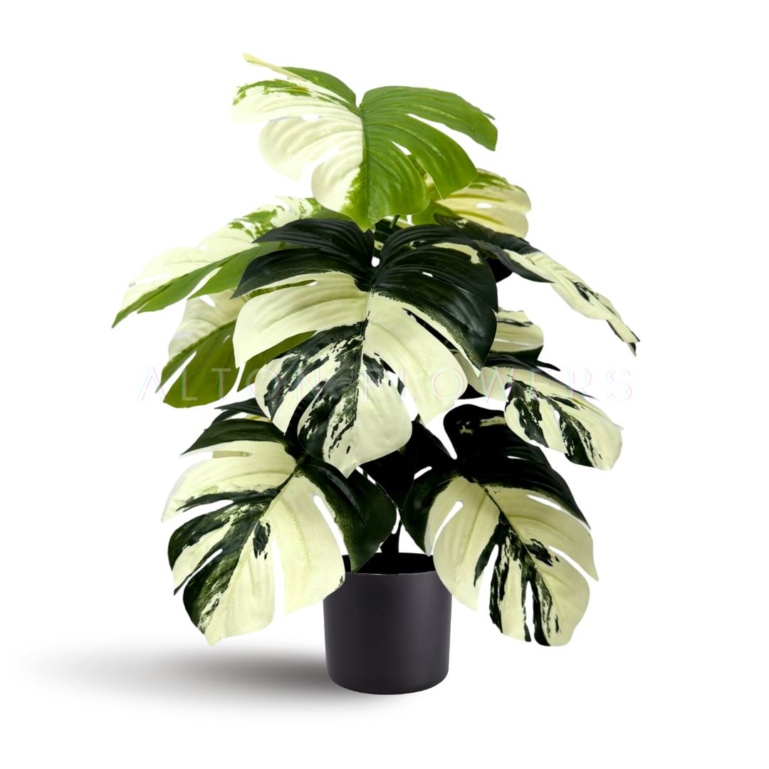 45cm (12 Leaves) Artificial Plant Variegated Monstera Albo with black plastic cemented pot, home decor, garden, events Aplant1002a