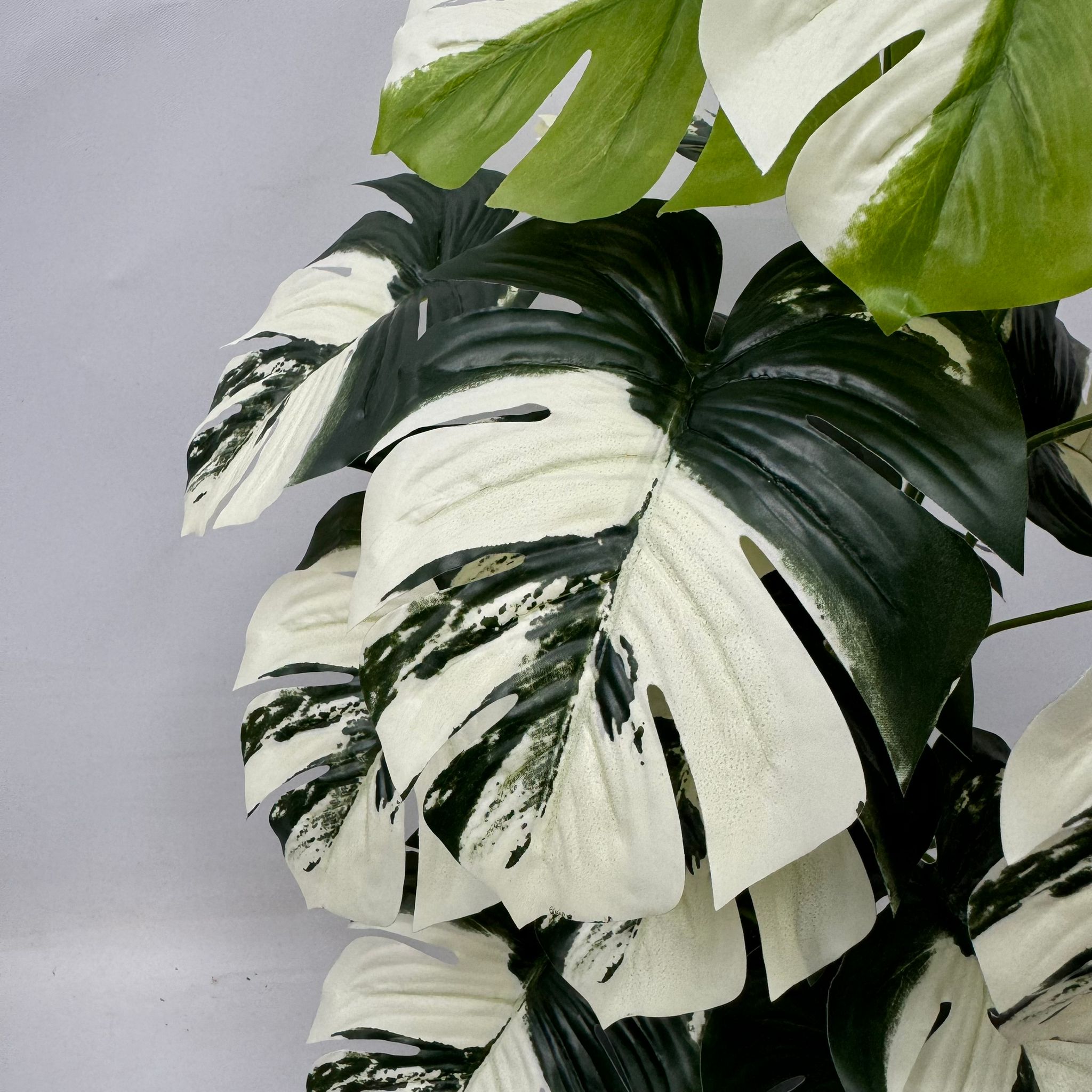 75cm (24 Leaves) Artificial Plant Variegated Monstera Albo with black plastic cemented pot, home decor, garden, events Aplant1002c