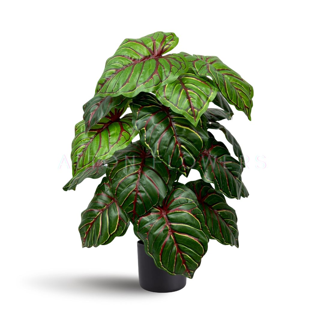 45cm Artificial Caladium Bicolor Plant with black plastic cemented pot, home decor, garden, events Aplant1006a- 12 lvs