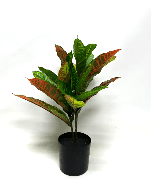 50cm Artificial Garden Croton Plant, Home, Garden, Events Aplant1015