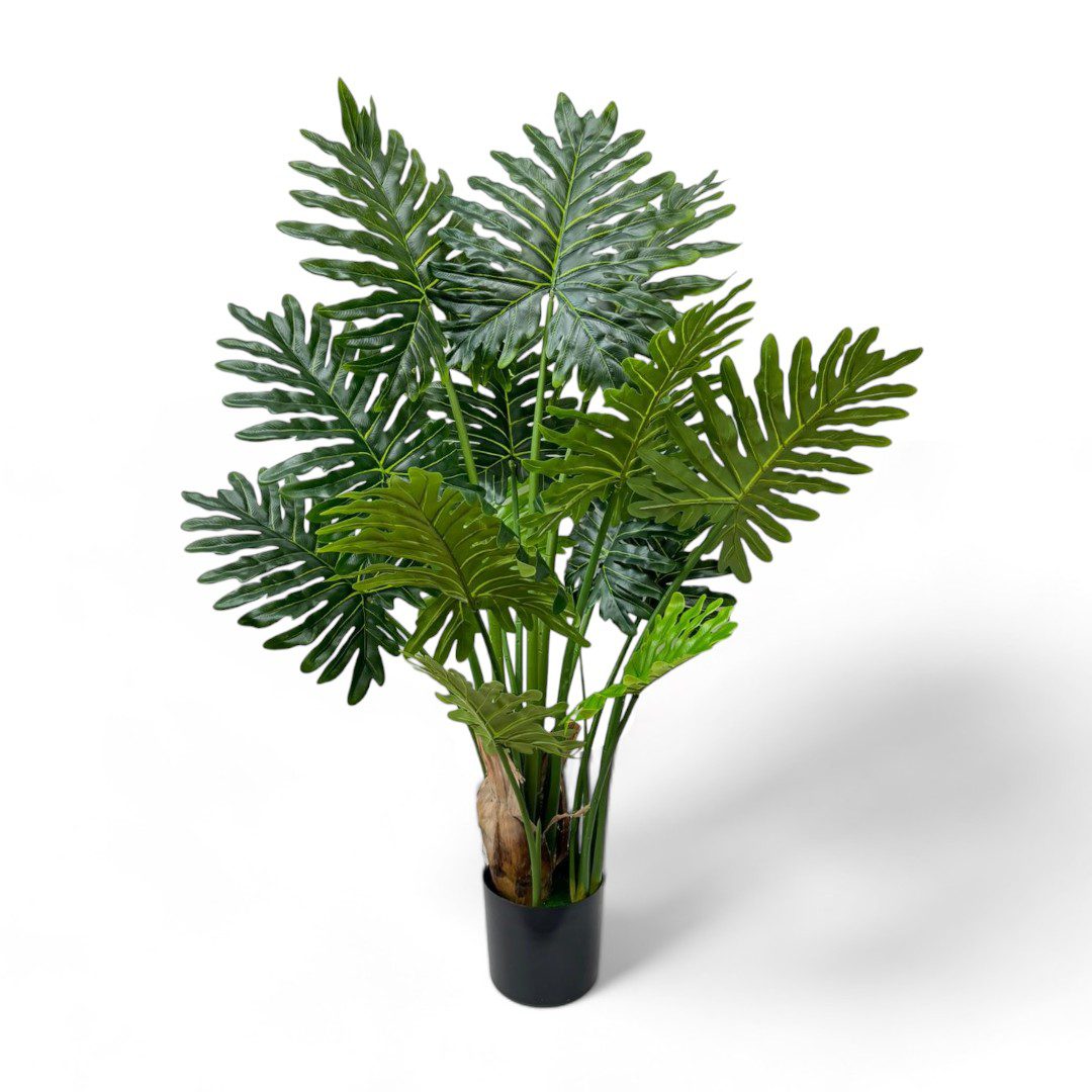 Split Tree Philodendron