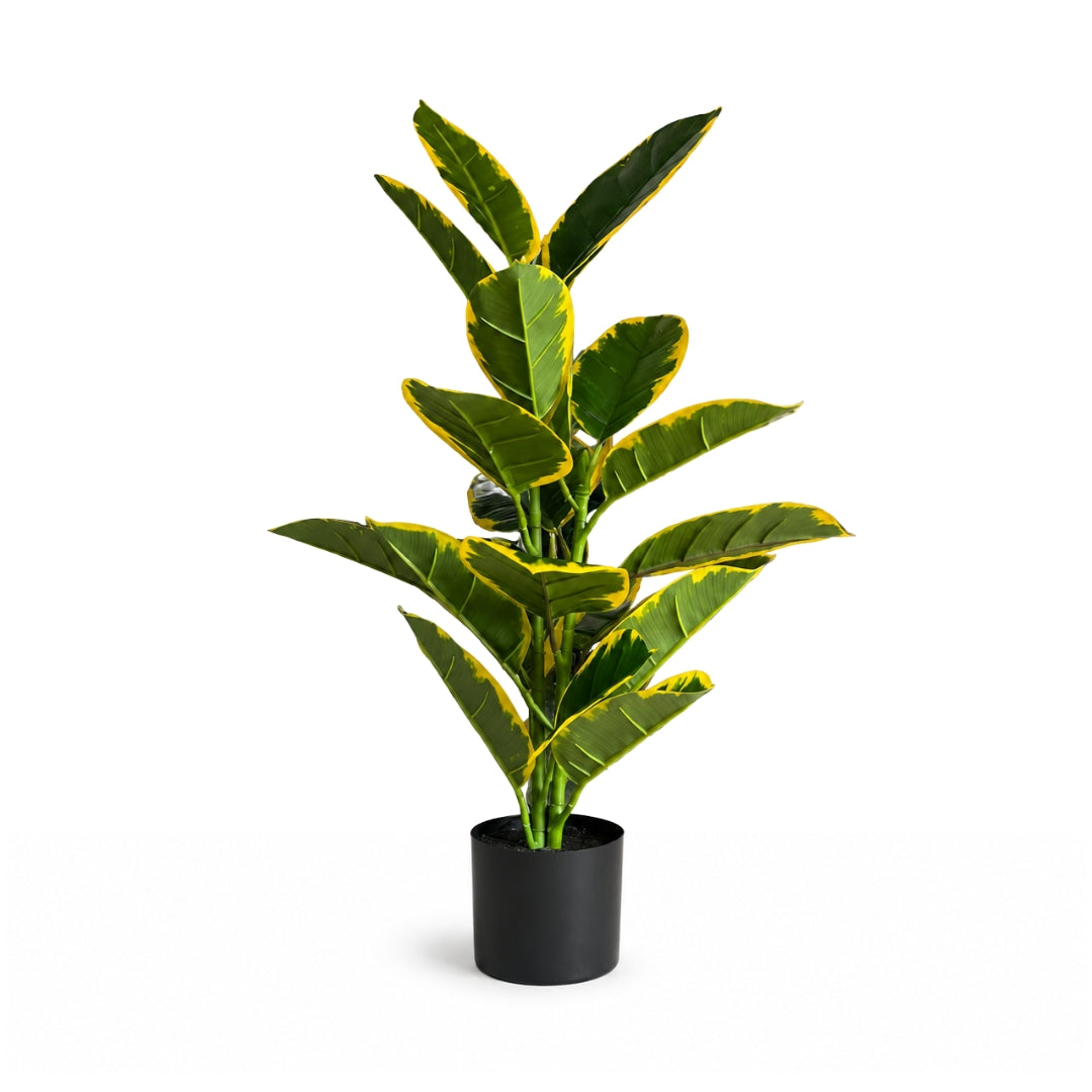 72cm Artificial Plant Golden Ficus Elastica, home decor balcony events