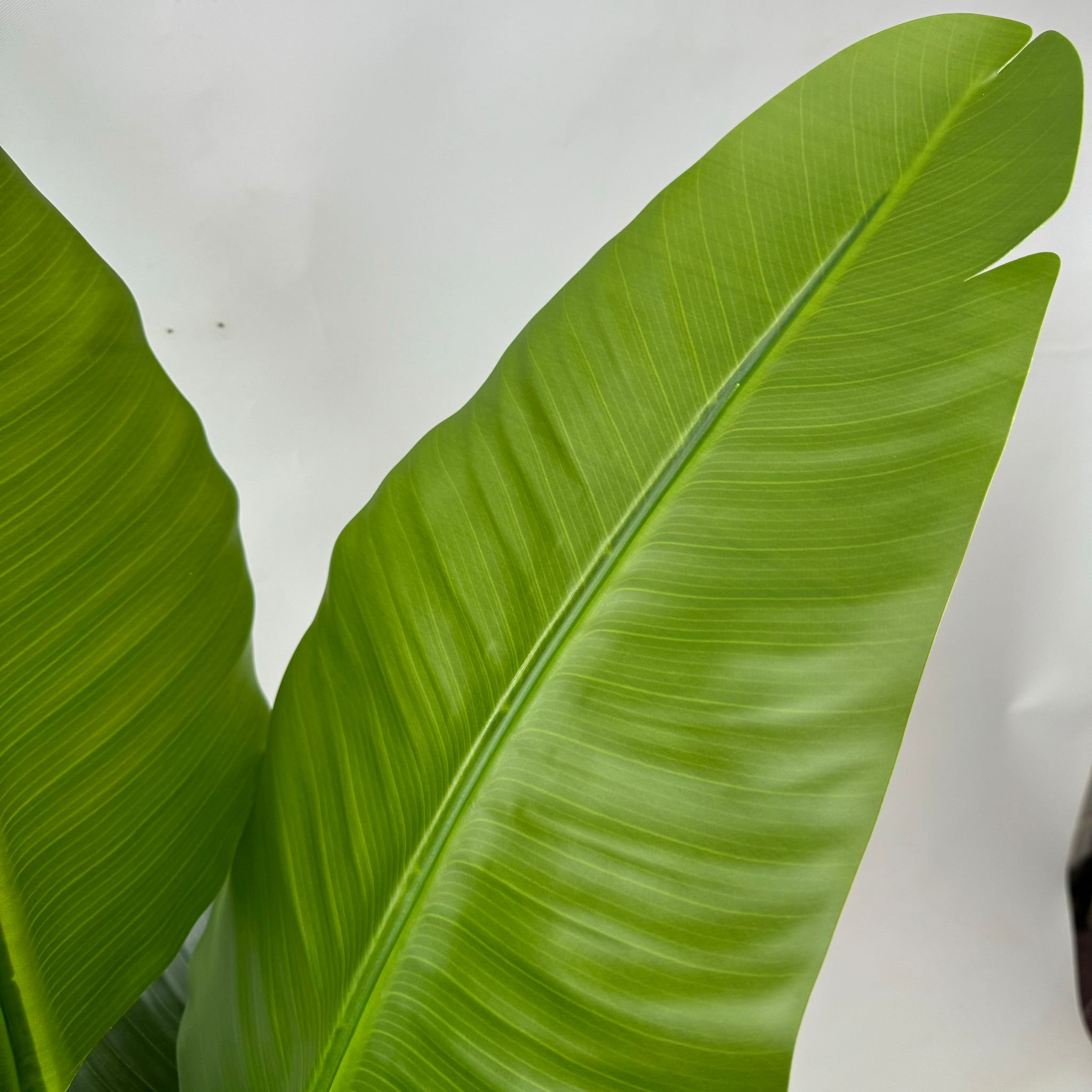 120cm Artificial Traveller's Palm Tree Aplant1049