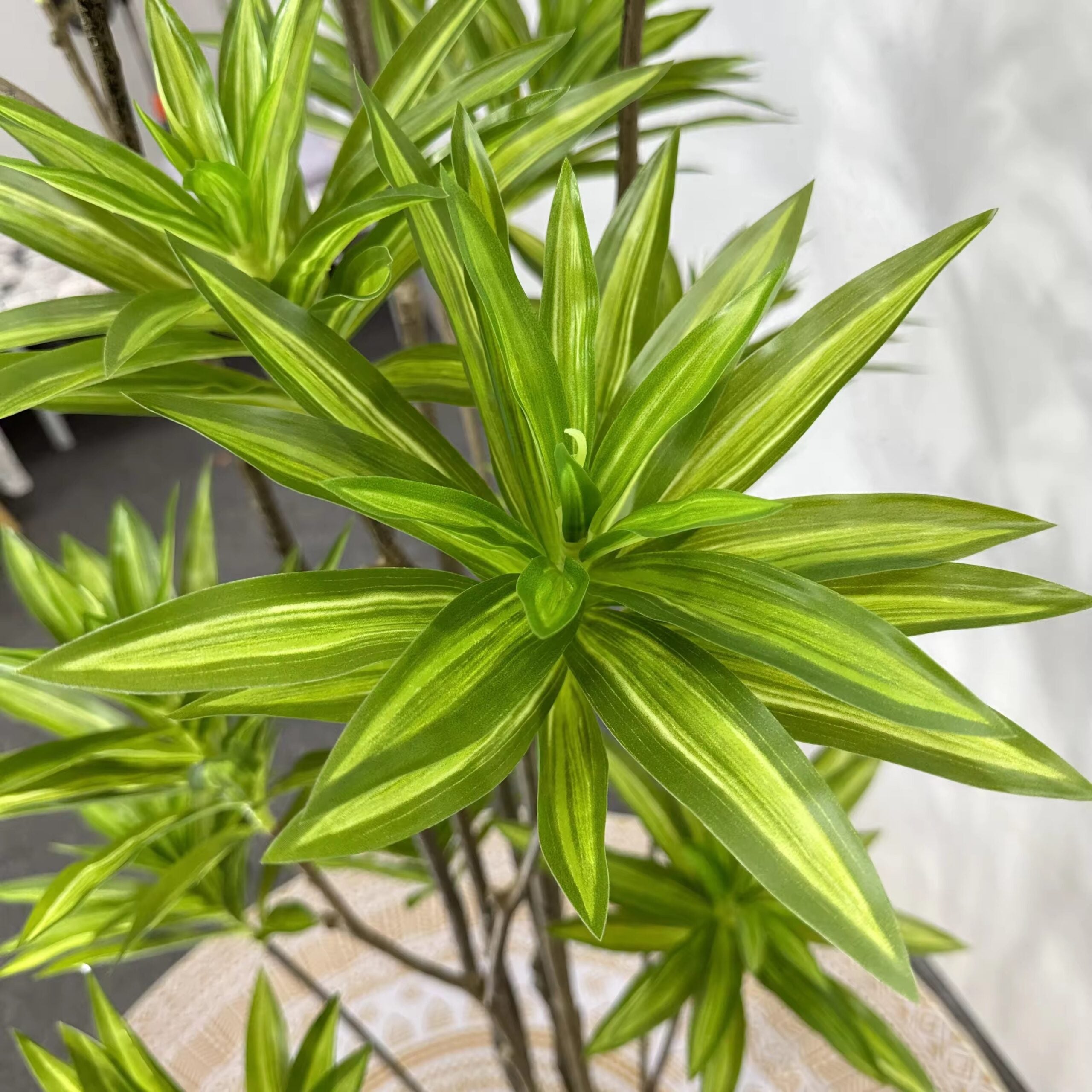 140cm Artificial Plant Dracena Fragrans, home decor, events, gardens Aplant1061-140cm