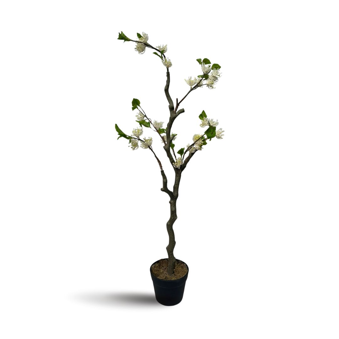 83cm Artificial Casearia decandra Jacq. Plant in black plastic pot, home decor, events, garden, Aplant1070