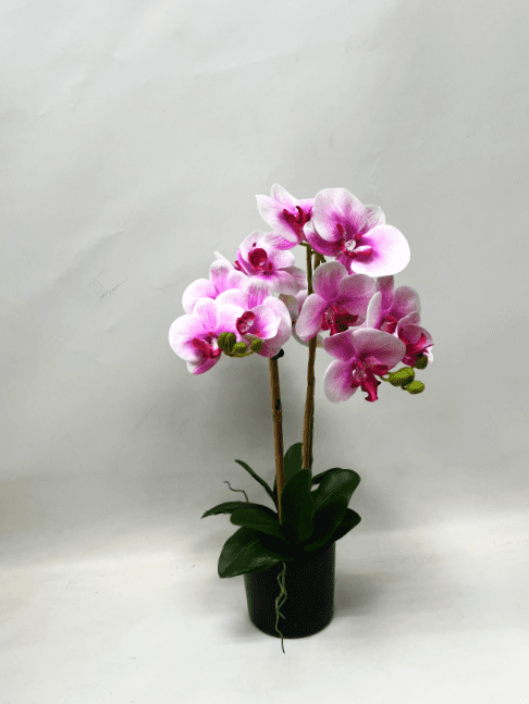 60cm Orchids Plant Artificial Rubber, Flower, events, gardens, home decor Aplant1072