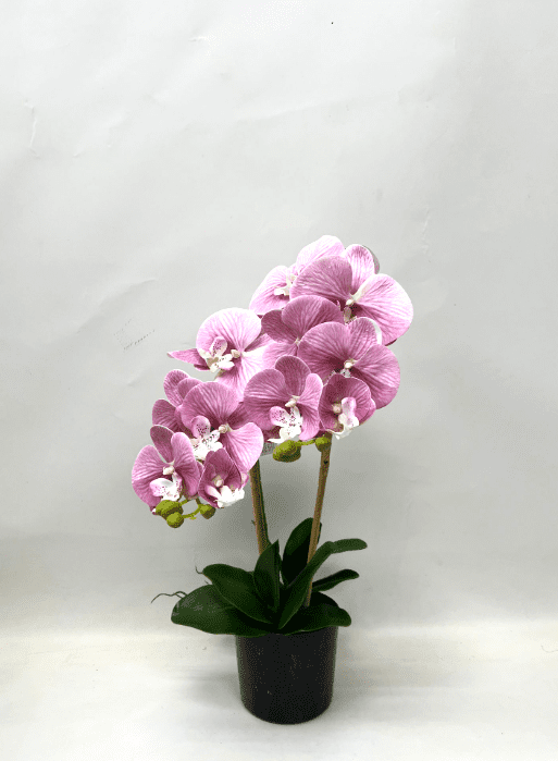 60cm Orchids Plant Artificial Rubber, Flower, events, gardens, home decor Aplant1072
