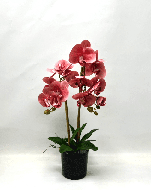 60cm Orchids Plant Artificial Rubber, Flower, events, gardens, home decor Aplant1072