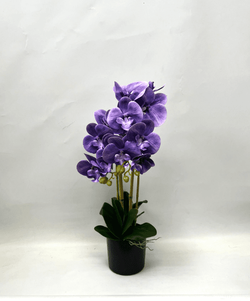 60cm Orchids Plant Artificial Rubber, Flower, events, gardens, home decor Aplant1072