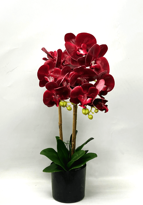 60cm Orchids Plant Artificial Rubber, Flower, events, gardens, home decor Aplant1072